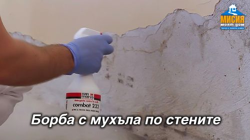 Остраняване на мухъл и упорити петна от вътрешни стени